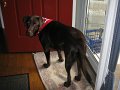 2010-07-17 Hem_0009